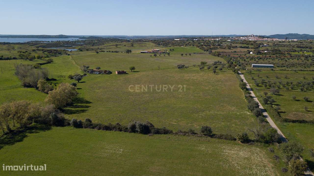 Terreno Mourão - Alentejo - Grande imagem: 5/11