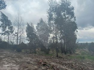 Terreno  para venda - Grande imagem: 5/6