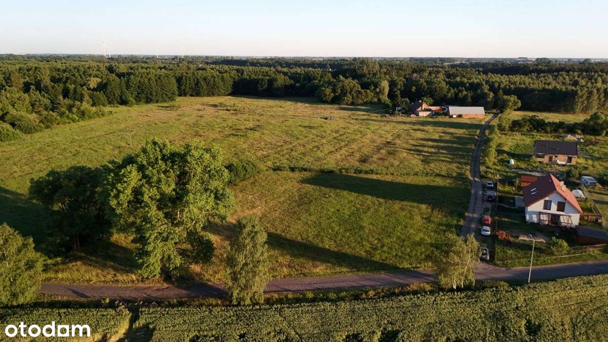 Działka inwest w gm Nekla – 30 km od Poznania-11