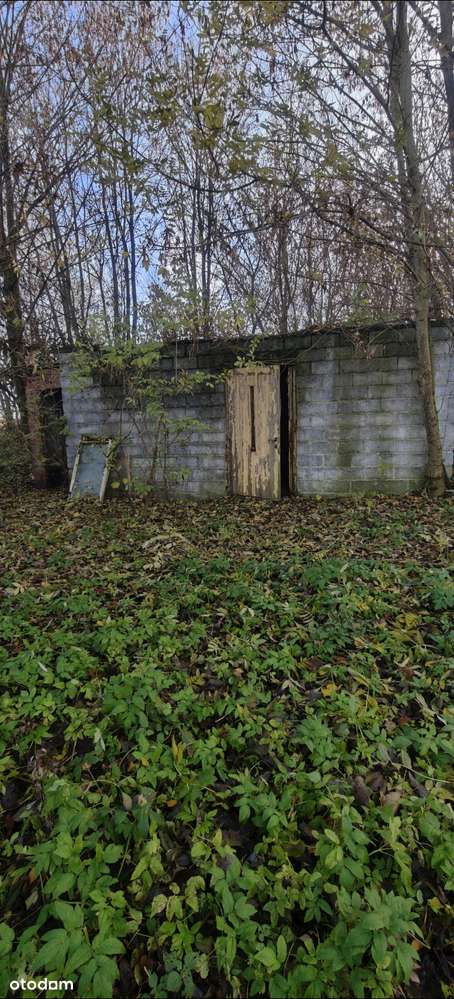 Sprzedam Dom do Remontu   na dużej 33 arowej Budowlanej działce-12