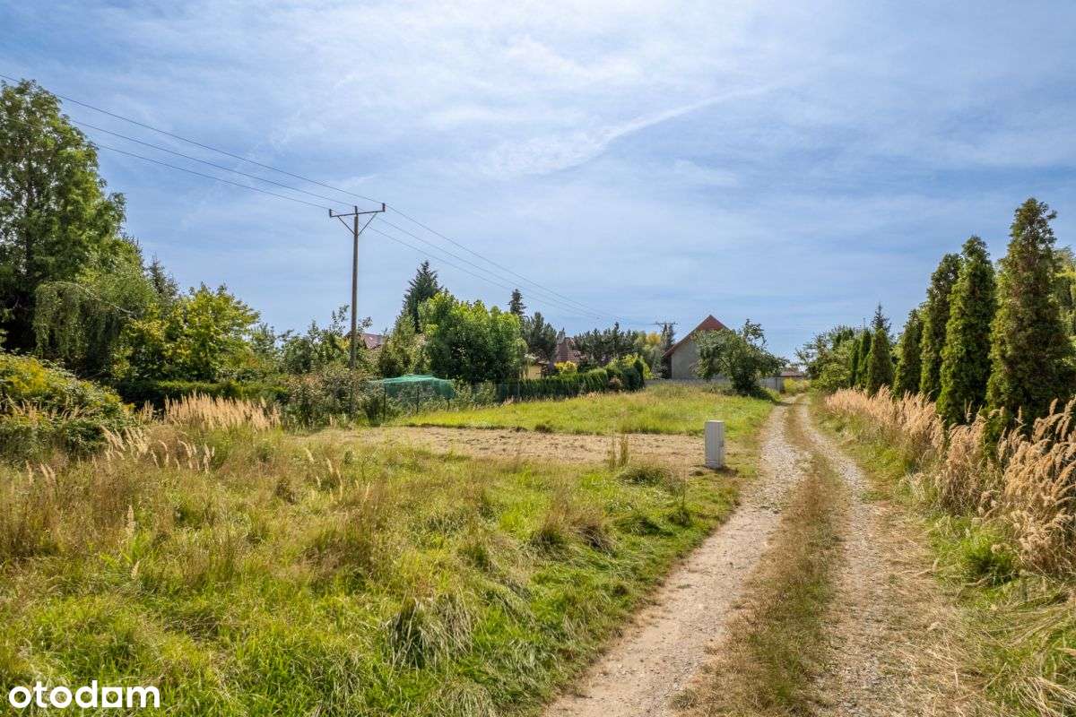 Wilkszyn. Atrakcyjna działka, świetna cena. - Pełny obrazek: 5/5