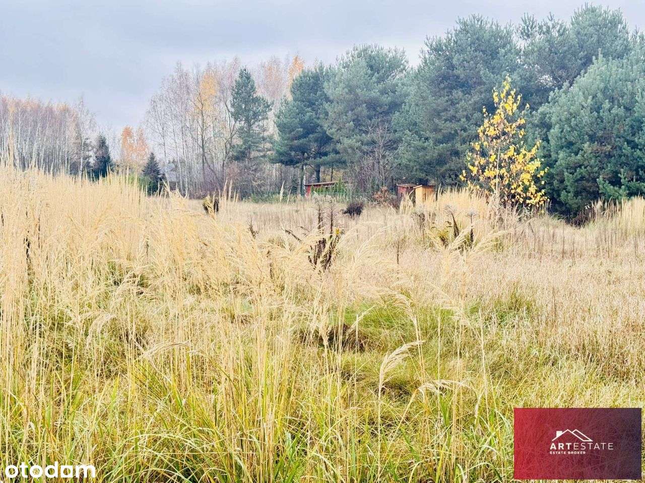 Działka1024m2 blisko lasu i parków Rosanów - Pełny obrazek: 5/20