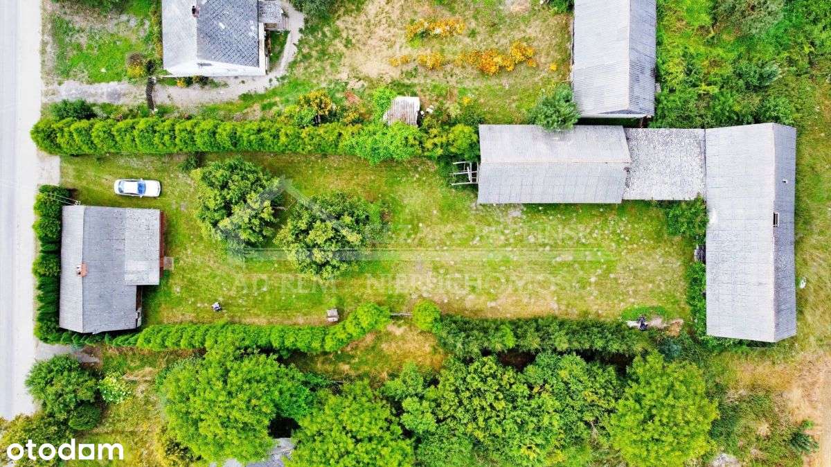 Siennica Różana, 5 818 mkw., siedlisko - Pełny obrazek: 3/5