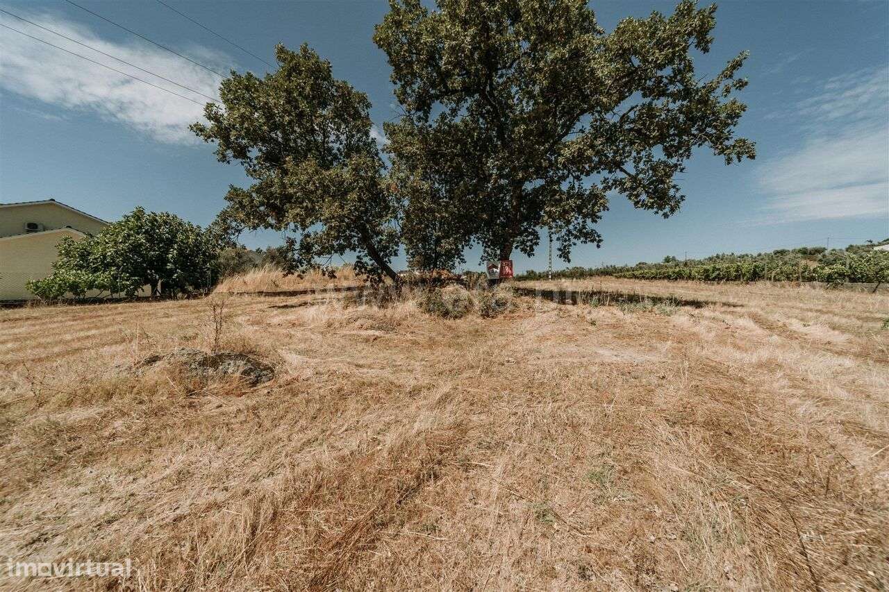 Terreno para Construção / Fundão, Fundão - Grande imagem: 3/5