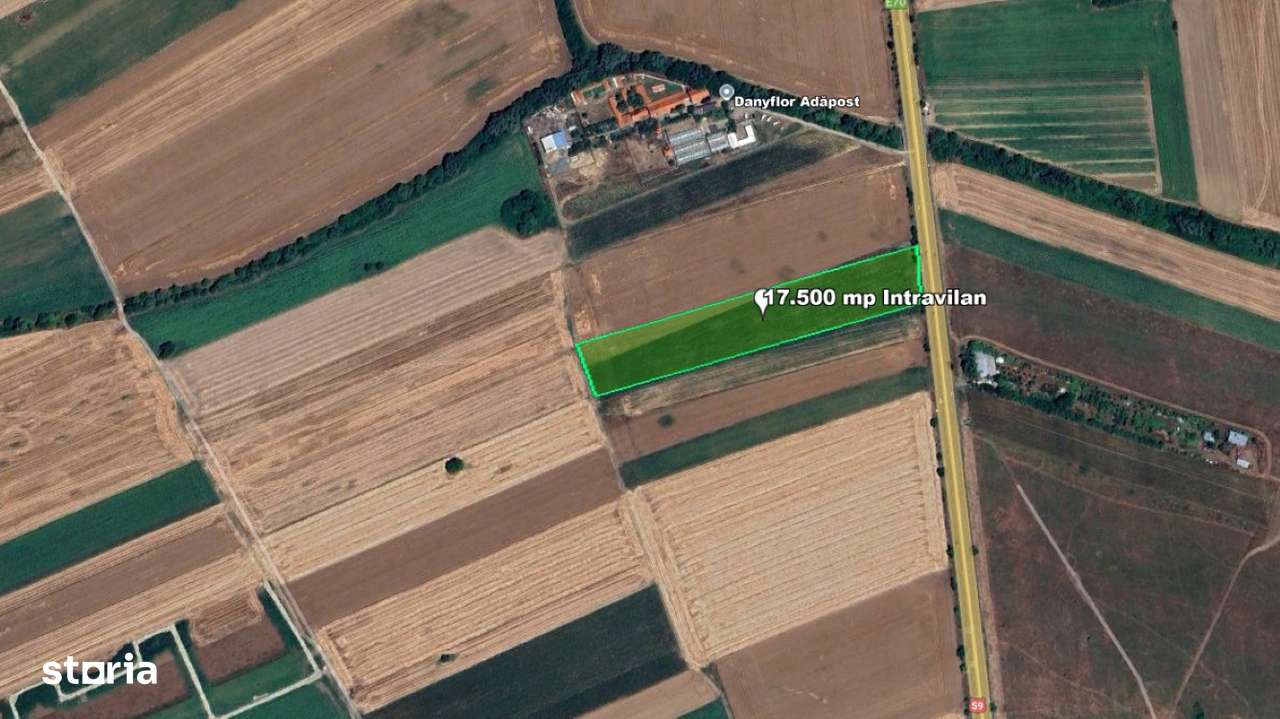 Teren Intravilan, 17500 mp, Sag, Timis, DN69-1