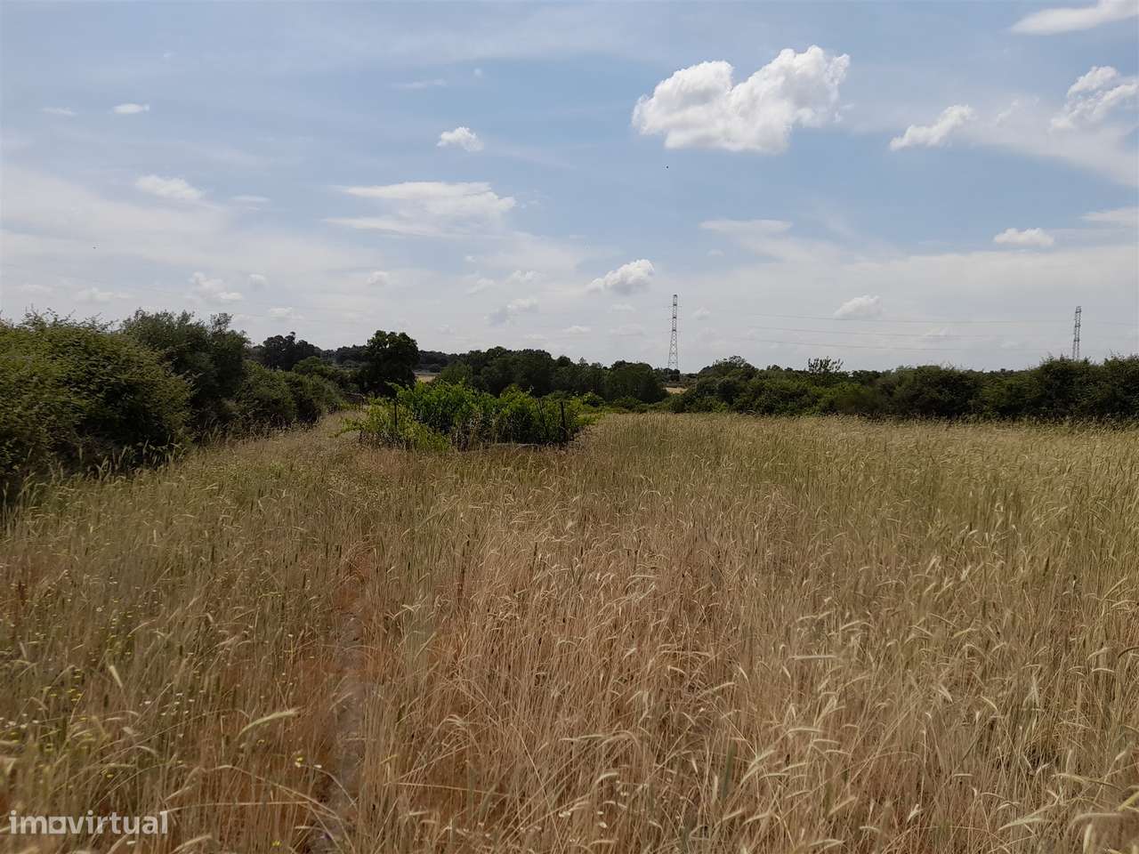 Terreno Rústico  Venda em Alcains,Castelo Branco - Grande imagem: 4/10