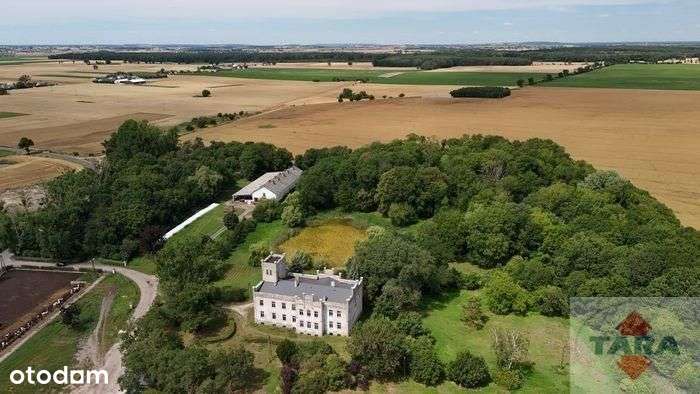 Obiekt parkowo-pałacowy! - Pełny obrazek: 4/20