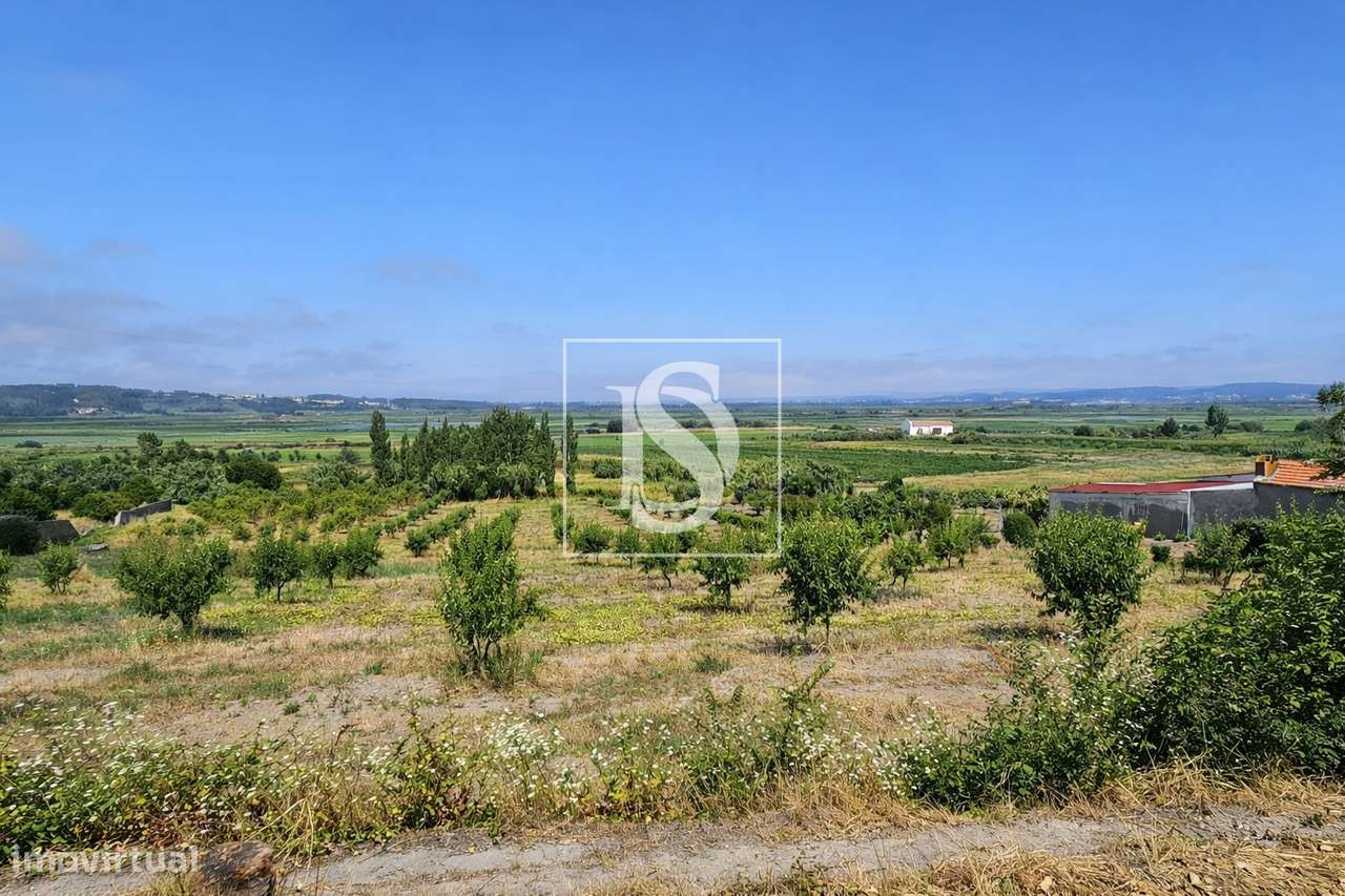 Terreno Para Construção  Venda em Alqueidão,Figueira da Foz-33