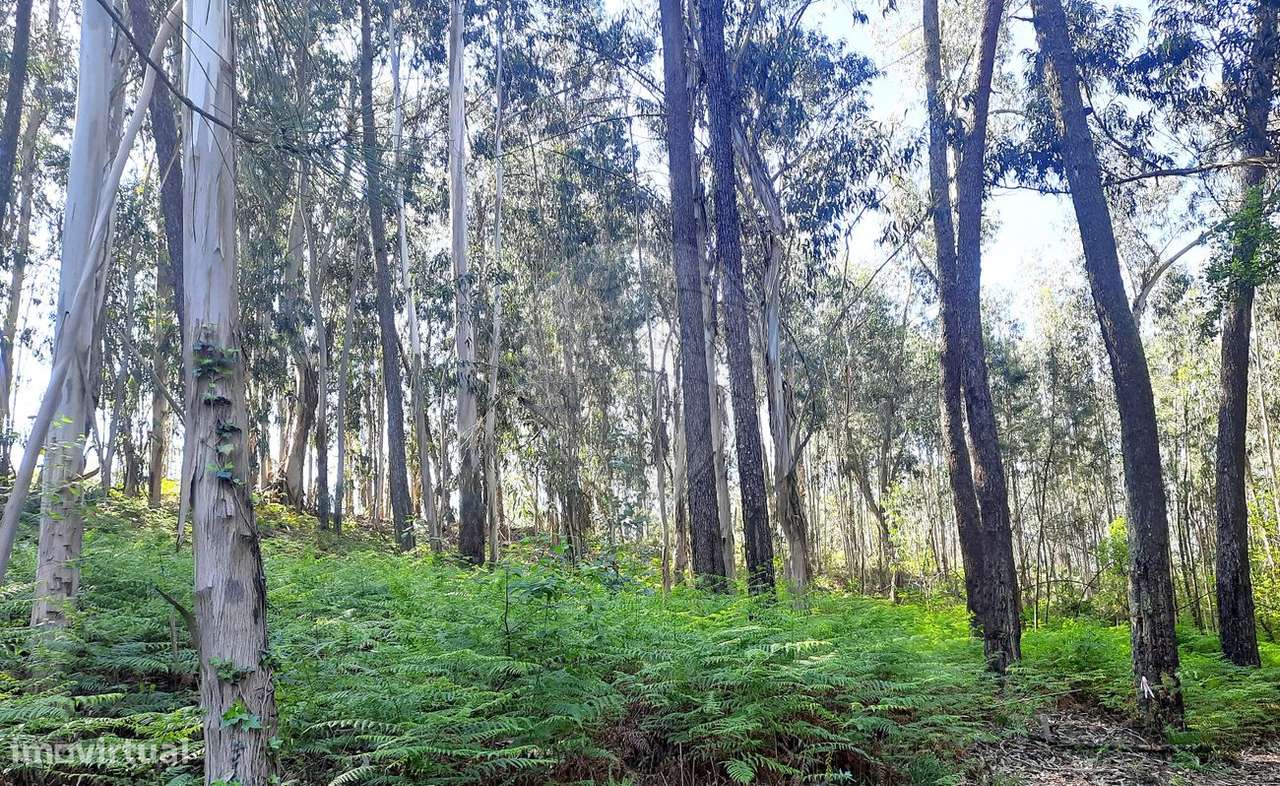 Terreno  para venda - Grande imagem: 2/3