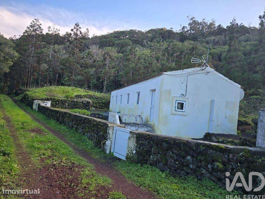 Casa de Campo T1 em Piedade de 111 m2 - Grande imagem: 5/5