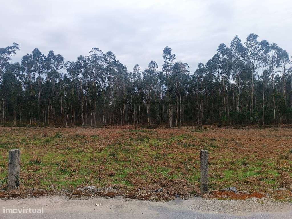 Terreno com uma área total de 10.796 m2 - Grande imagem: 4/5