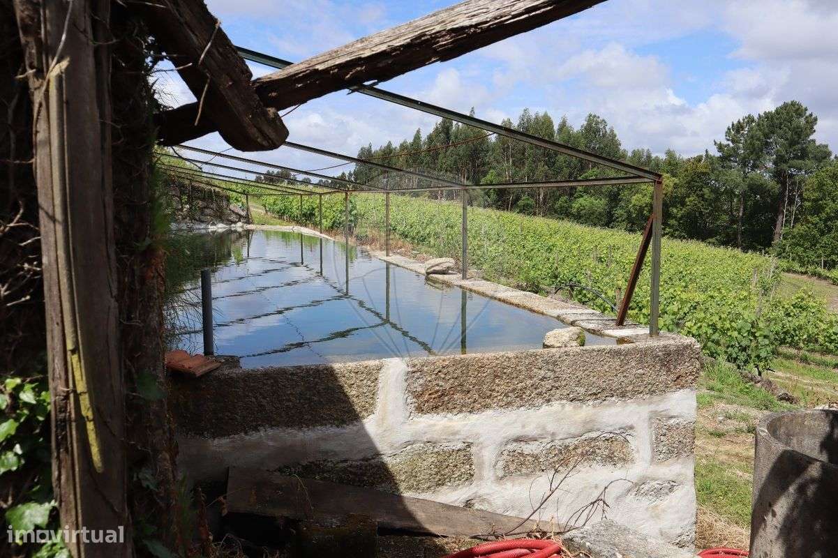 Quinta T7 para venda-22