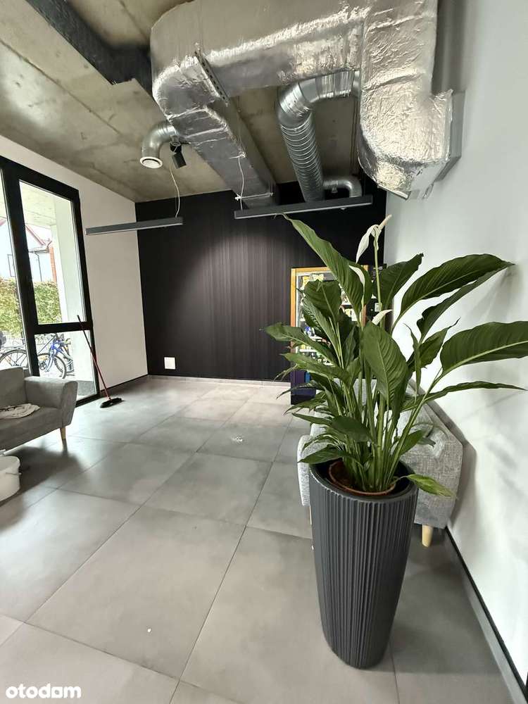 NOWE BIURA Łódź ul. Rewolucji 49A Centrum - Pełny obrazek: 2/12