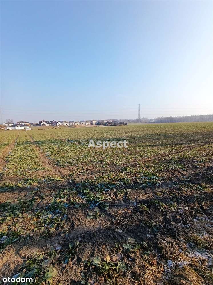 Działka Świerklany - Pełny obrazek: 5/7