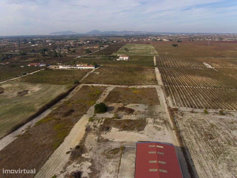 Venda de Quinta com armazém industrial-5