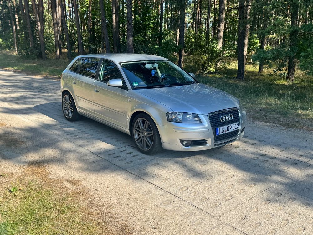 Audi A3 8P (2003-2012) 1.6 Ambition 2005