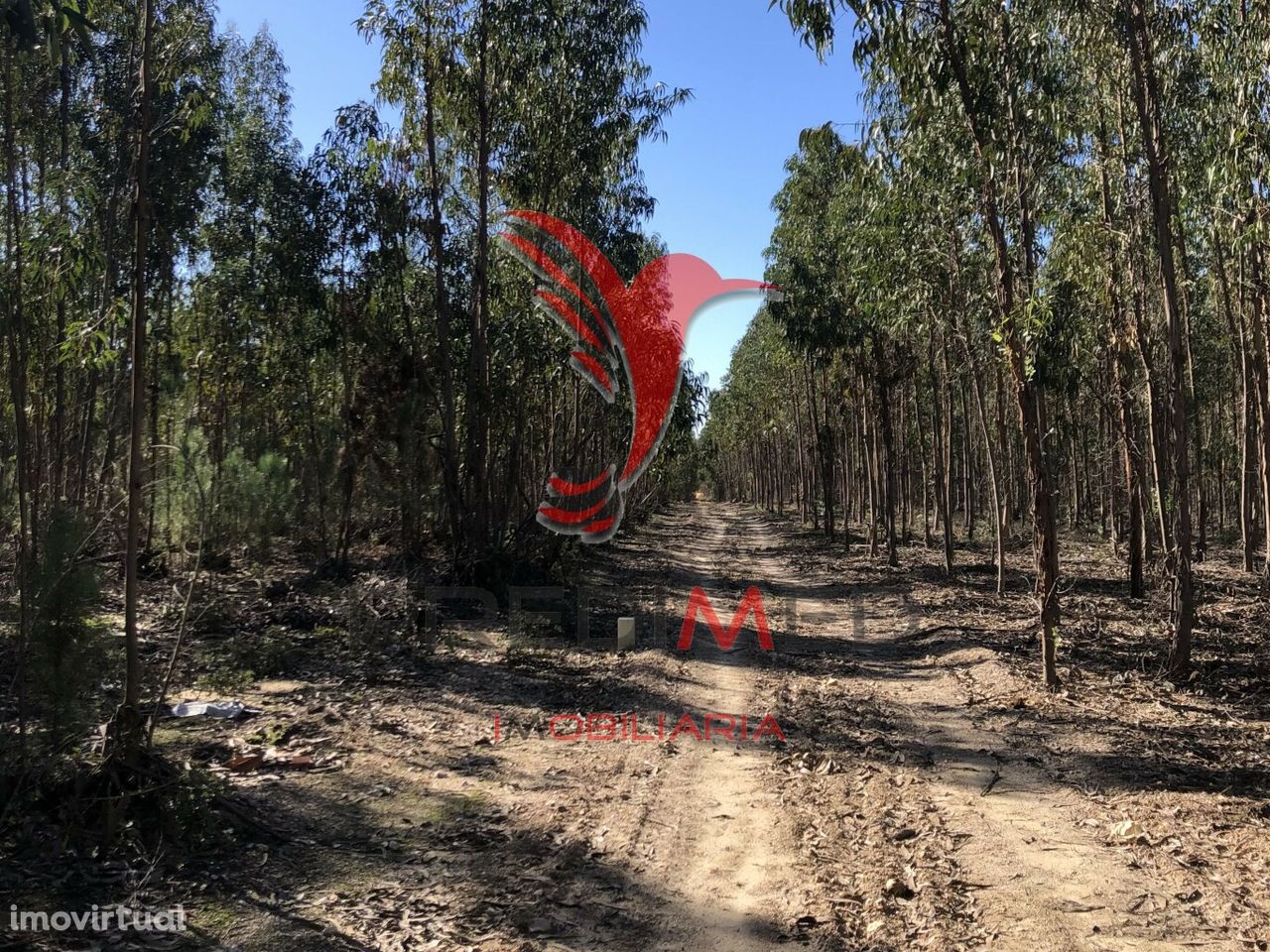 Terreno de 13,8 ha em Vale de Água