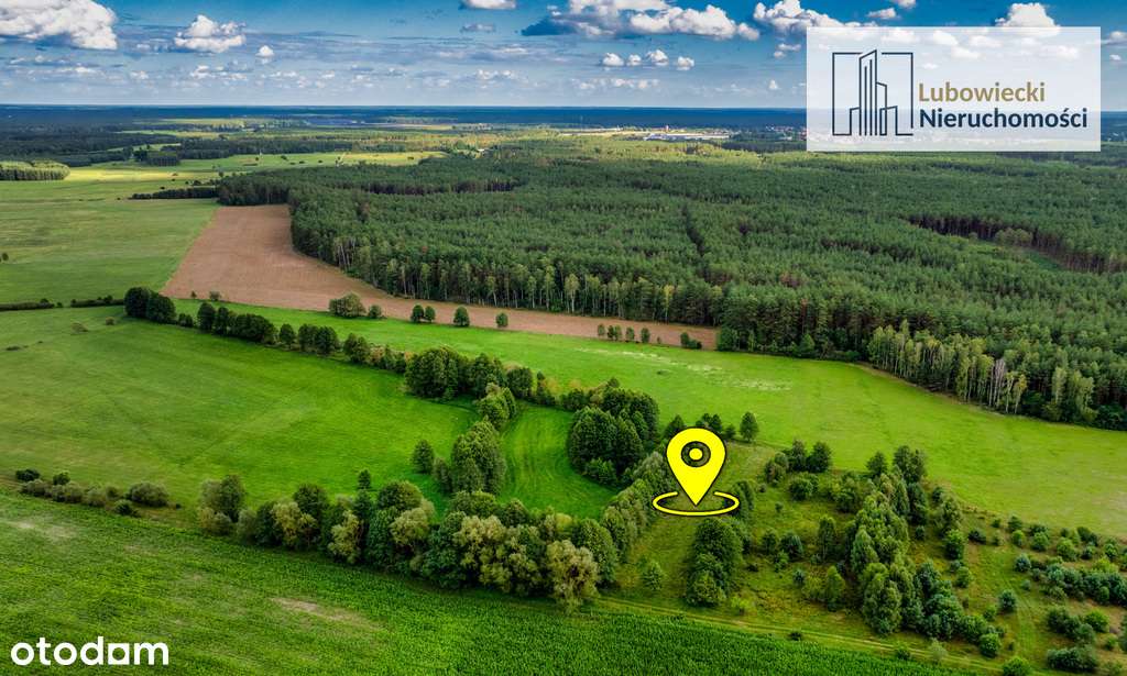 Działka w miejscowości Kucbork - Pełny obrazek: 5/14