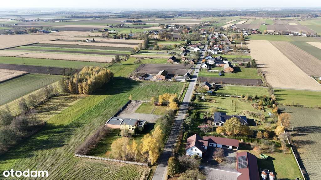 Do wynajęcia obiekt na usługi, magazyn, biuro - Pełny obrazek: 2/6