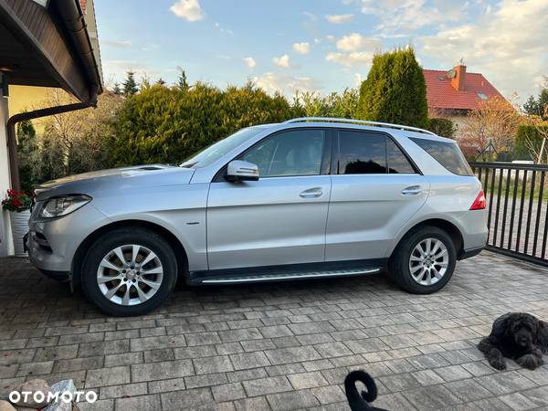 Mercedes-Benz ML 250 BlueTec 4-Matic - 2