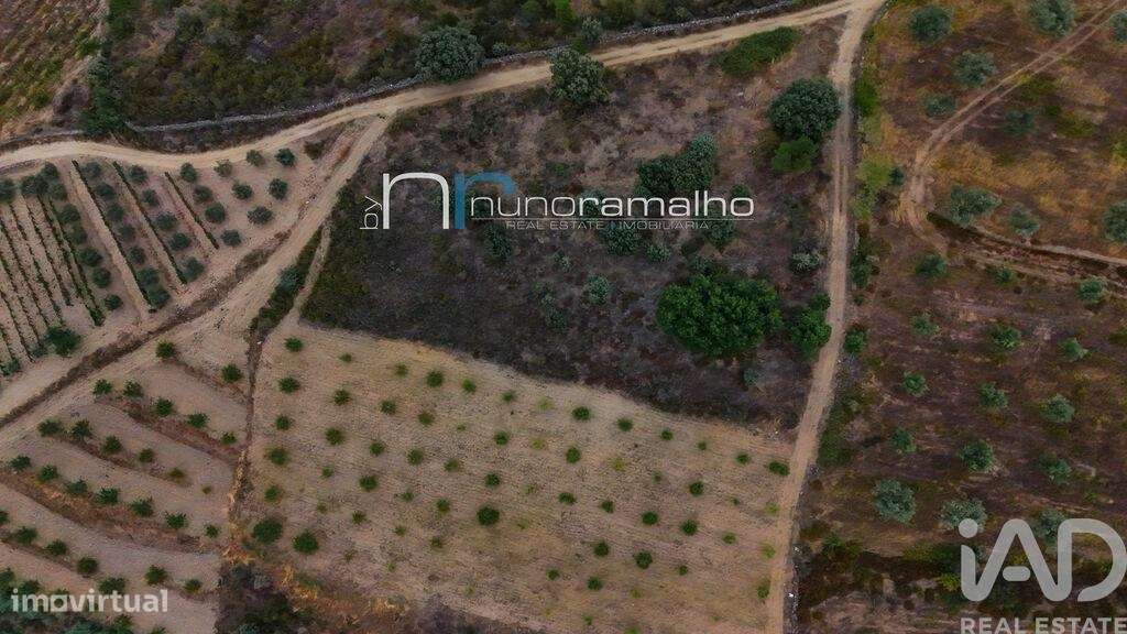 Terreno em Poço do Canto de 11872,00 m2 - Grande imagem: 4/7