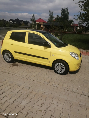 Kia Picanto - 5