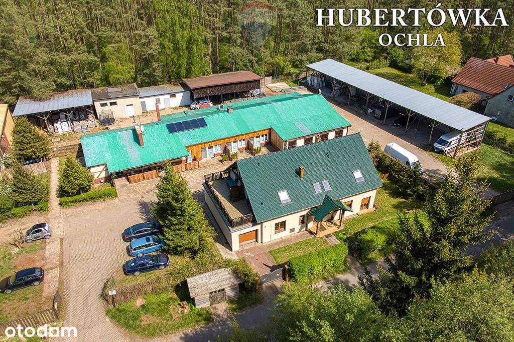 Doskonała okazja dla koniarzy i nie tylko! - Pełny obrazek: 4/20