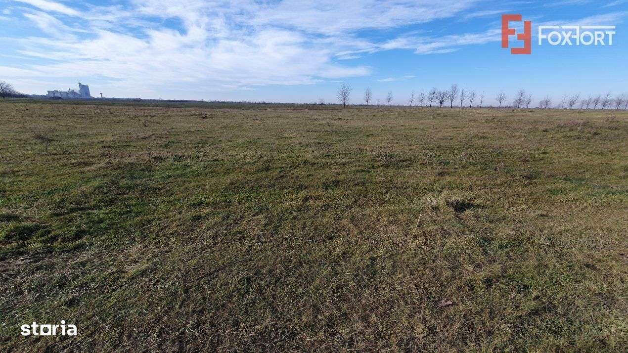 Teren intravilan 665 mp cu Puz aprobat - Padureni - Imagine principală: 5/7