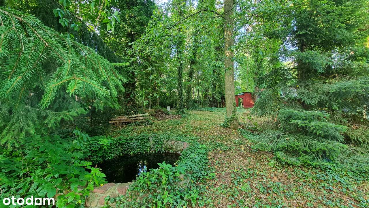 NA SPRZEDAŻ działka budowlana 1997m2 Żabiczki Konstantynów Łódź - Pełny obrazek: 5/7