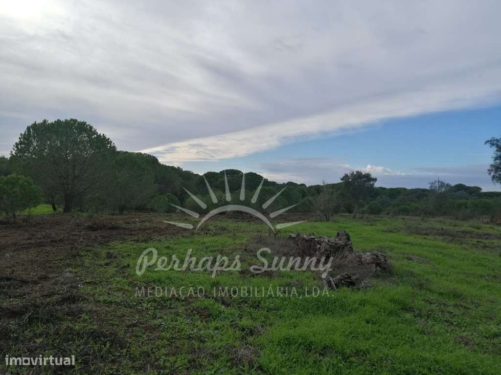 Terreno Rústico em Sobreiras Altas - Melides-6