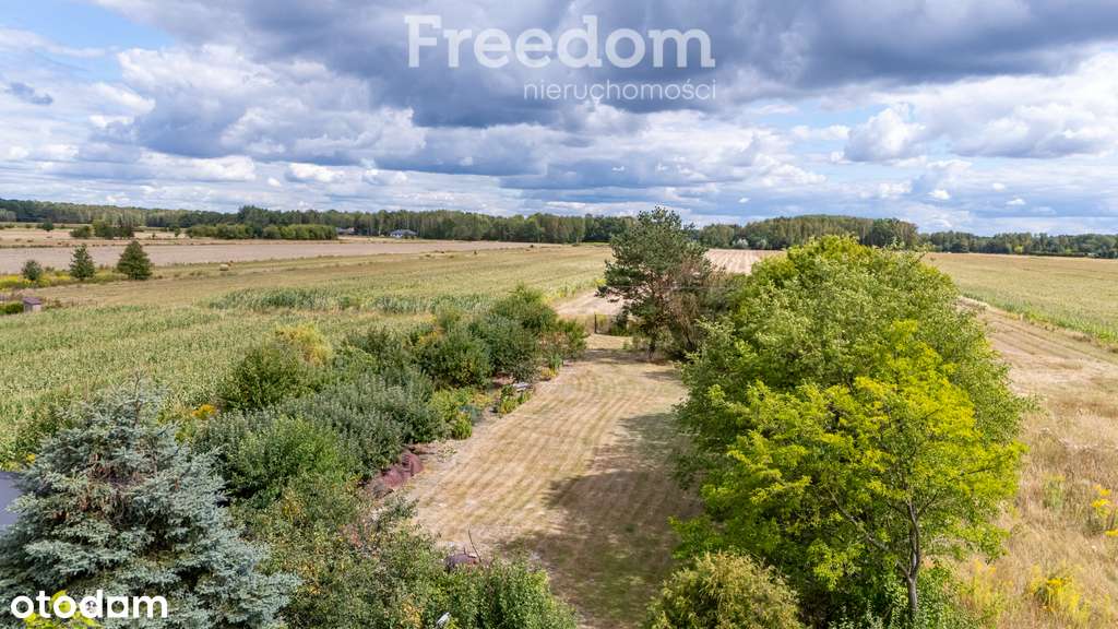 Wyjątkowa działka budowlana w Bogatkach - Pełny obrazek: 4/8