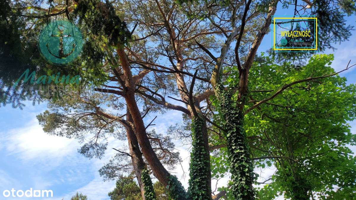 Nadmorska działka budowlana 200m do plaży-9