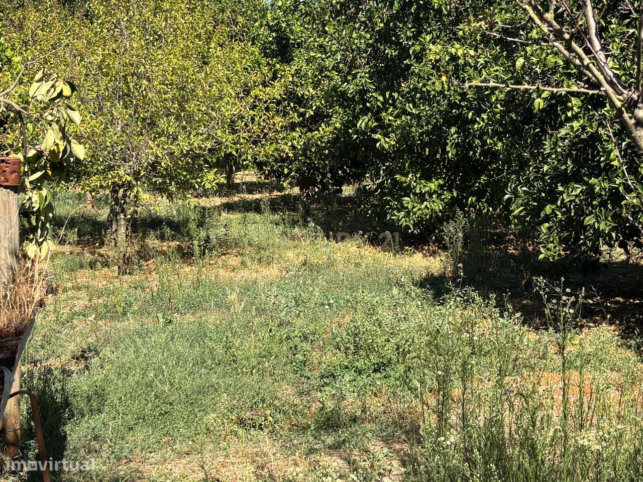 Quintinha com Moradia T2 + Armazém | 2ha vedados | Rio | Fruteiras | A-41