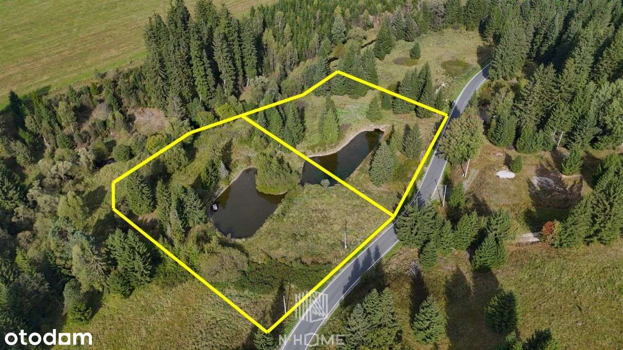 -100 000 zł, Grunt 86a, Stawy, Rzeka, Góry, - Pełny obrazek: 4/10