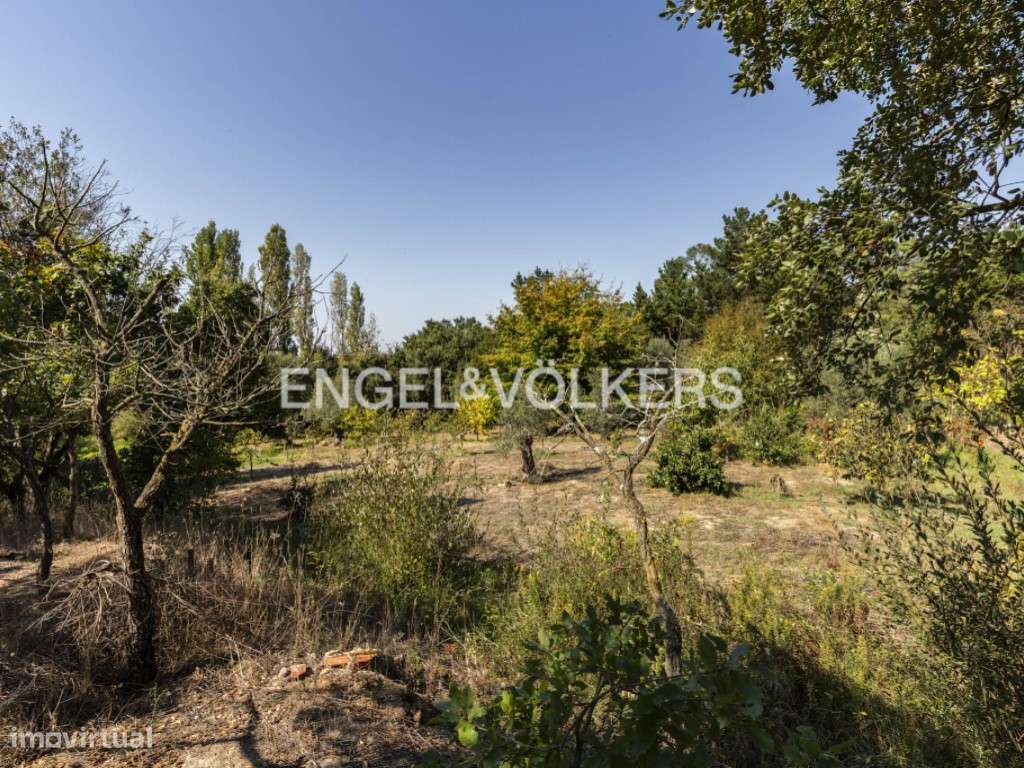 Sofistivada Moradia na Quinta do Anjo-33