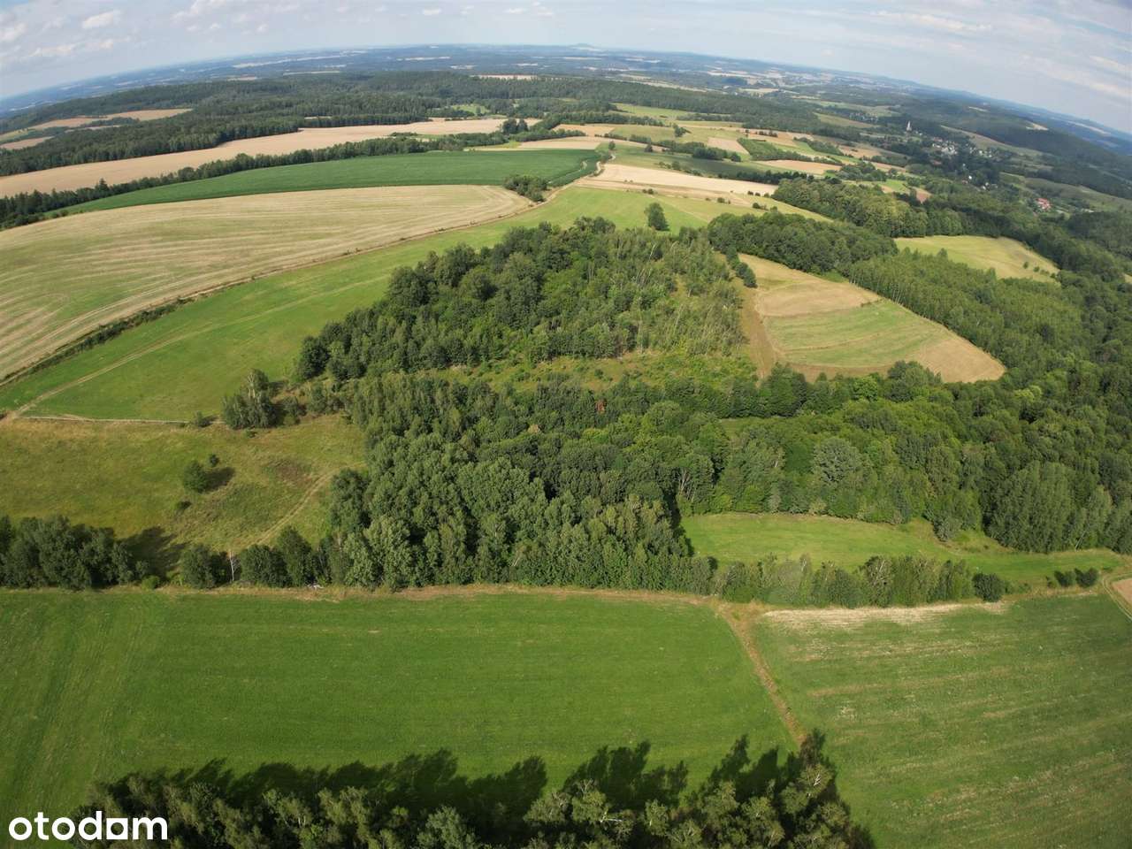 Działka Rolna/Leśna - Pełny obrazek: 5/7