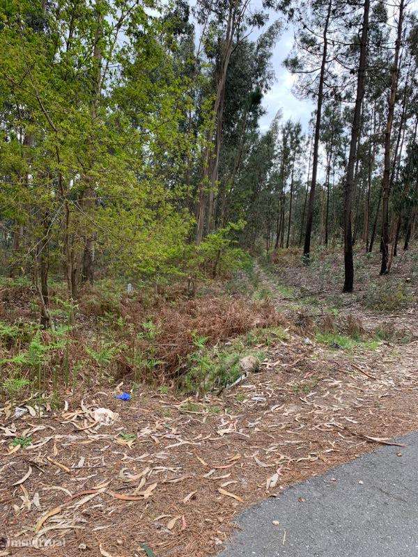 Terrenos á venda - Grande imagem: 4/21