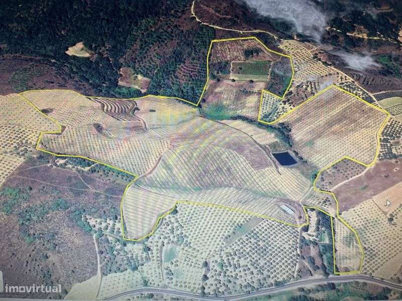 Quinta para venda 25ha - Grande imagem: 5/5