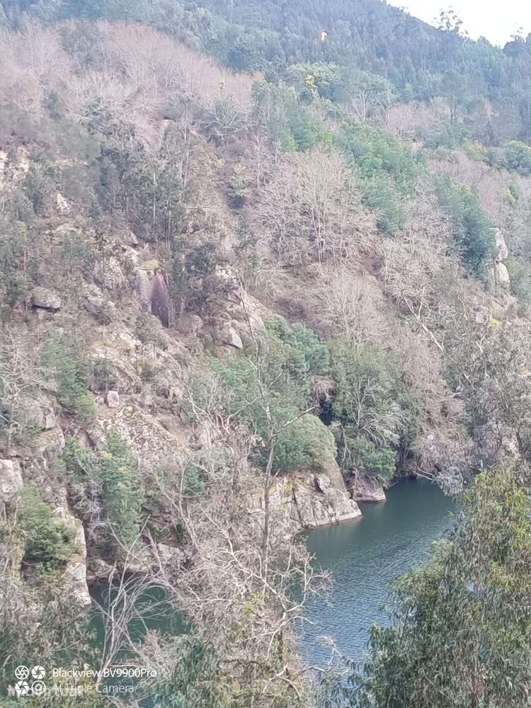 Quinta das Fontainhas, Rio de Moinhos, Penafiel-39
