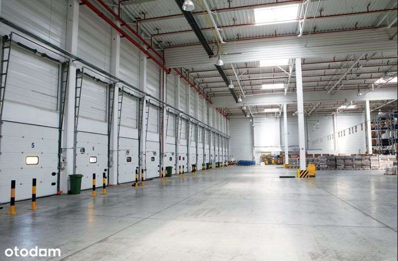 Pruszków - nowoczesna hala o pow. od 2500 m² - Widok 3