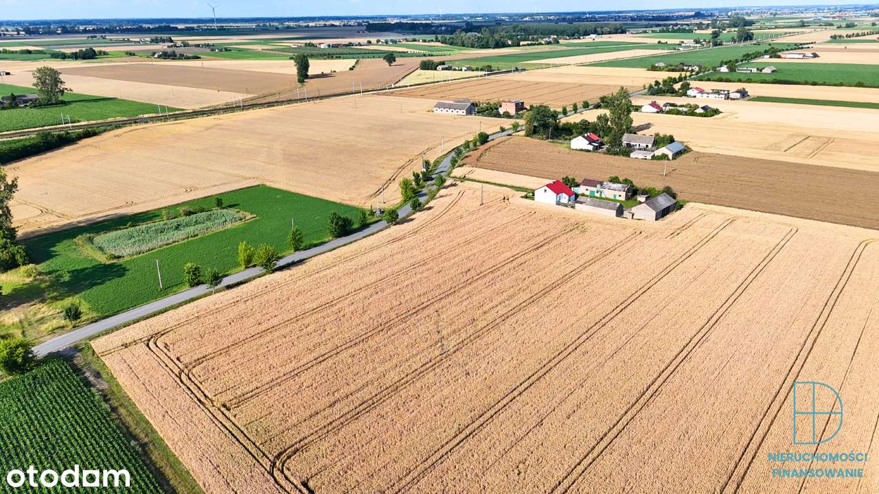 Dom z dużą działką 1,05 ha – Franki, gm. Krośniewice-7