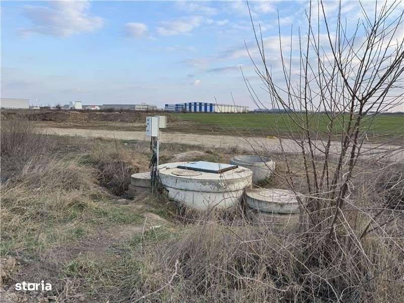 Teren vanzare 3 ha Clinceni - ideal pentru dezvoltare! Comision 0%!-1