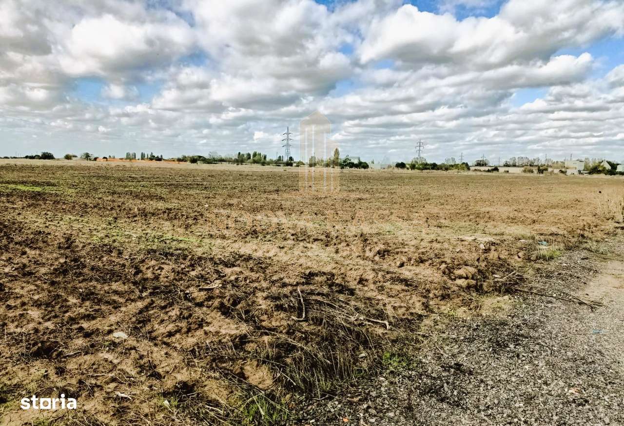 Terenuri de vânzare în zona Sere-Viile Noi  Constanța-2