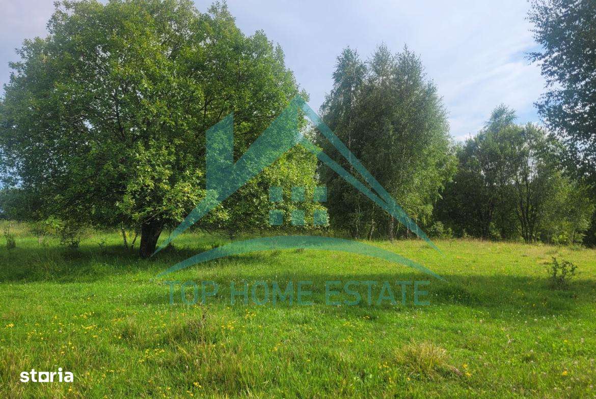 Teren pentru cabana/pensiune zona Lac Micesti!-8