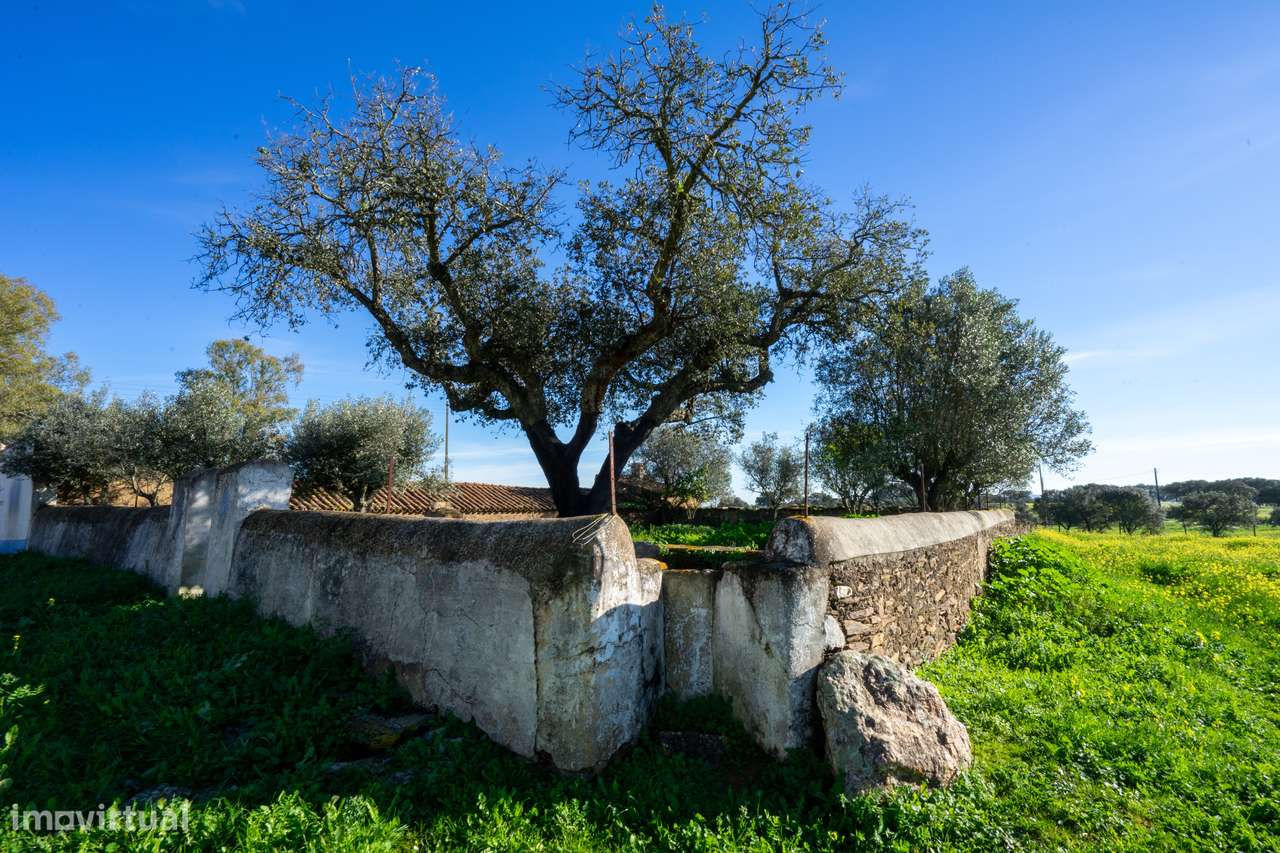 MONTE ALENTEJANO NO ALANDROAL, ÉVORA-37