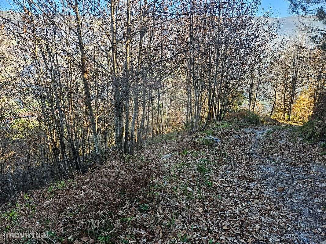 Terreno  para venda - Grande imagem: 5/6