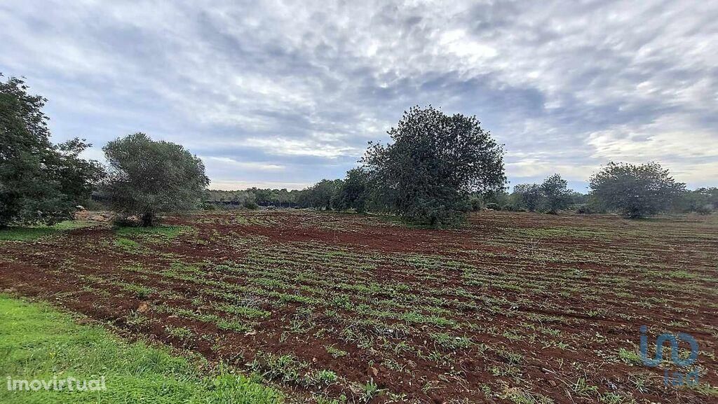 Terreno em Faro de 13830,00 m2