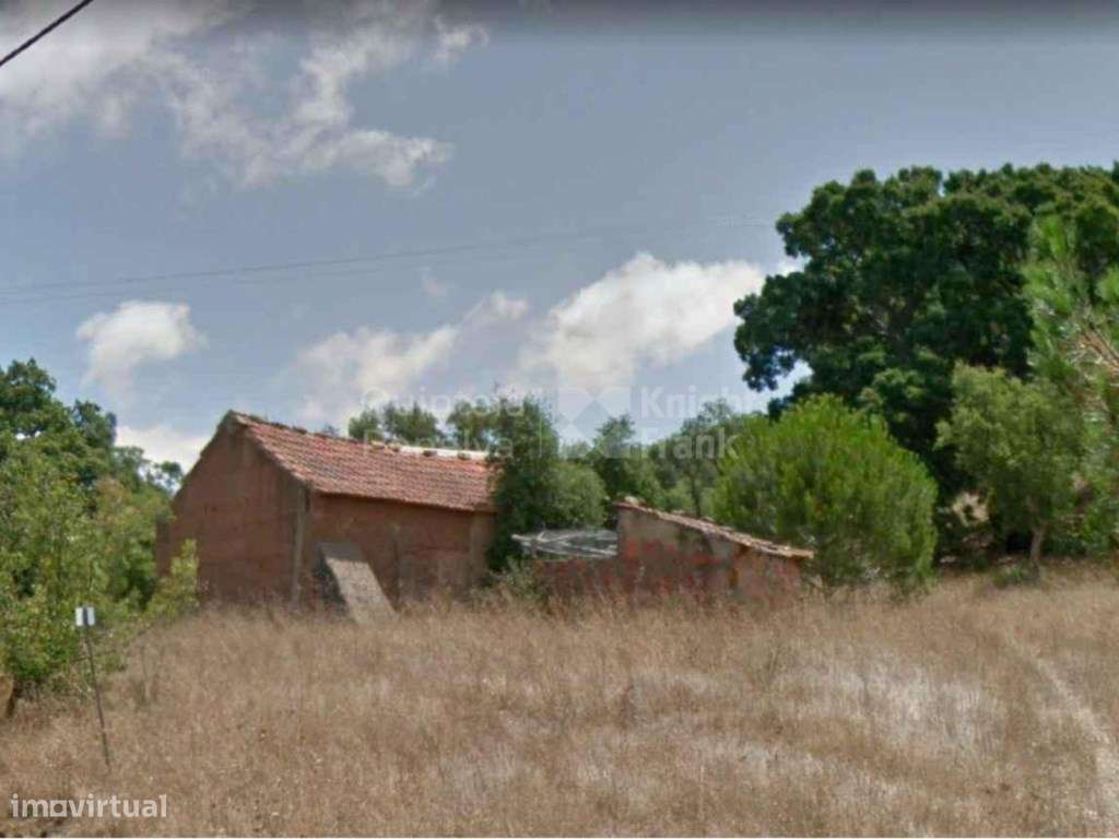 Monte com 4,7 hectares pip aprovado para habitação 500 m2 em Melide... - Grande imagem: 4/21