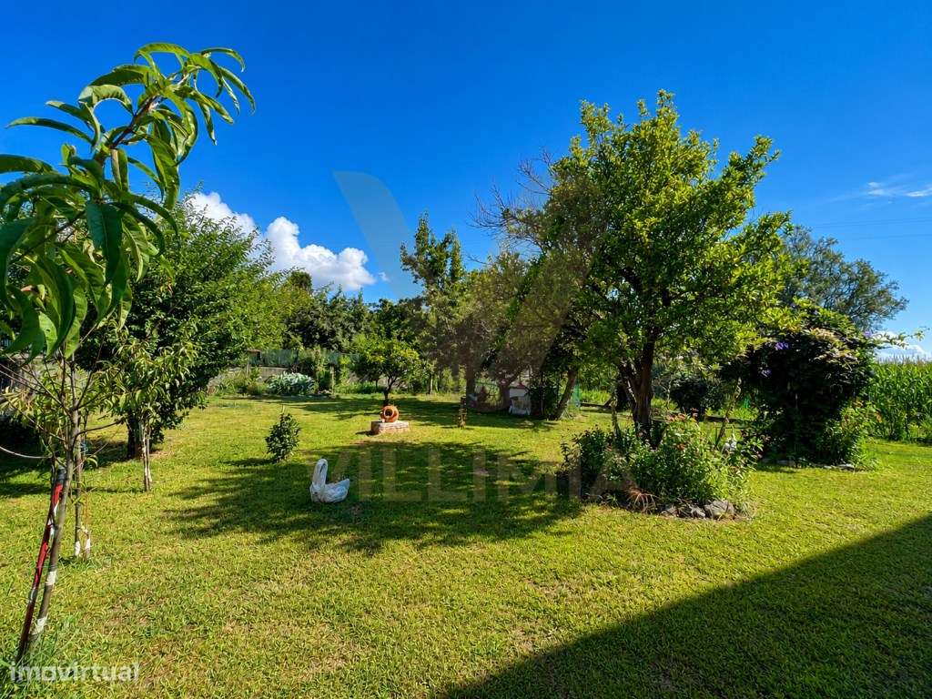 Moradia T3 c/Jardim | Fontão - Ponte de Lima-27