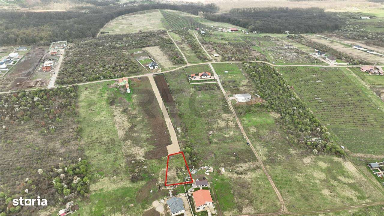 RECO, teren intravilan in Paleu - Imagine principală: 2/4